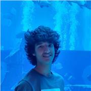 Clases particulares matemáticas, química, física, inglés